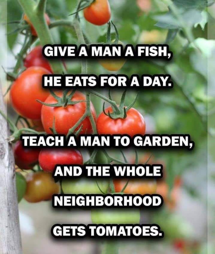 -tomato.jpg